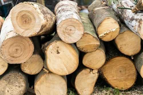 如何快速获得木材（如何快速获得木材材料）